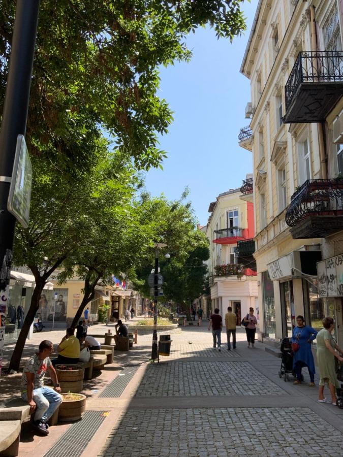 113 In Sofia With 2Br And 2 Full Bath Leilighet Eksteriør bilde